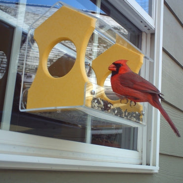 Recycled Window Hopper Bird feeder
