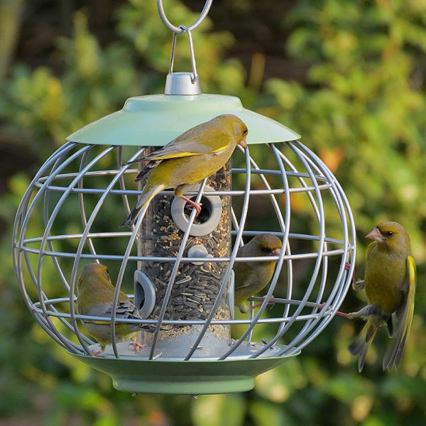 Squirrel-Proof Bird Feeder