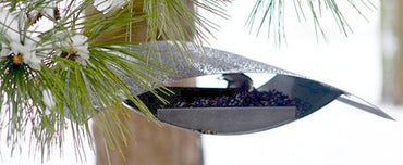 Hanging Bird Feeder for Small Birds