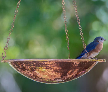 Solar Bubbler Copper Bird Bath- Hanging