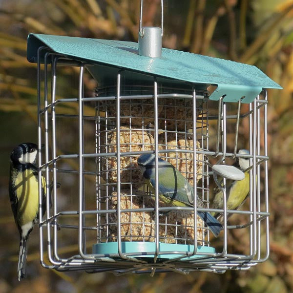 Nuttery Caged Suet Feeder – Durable and Secure Feeder for Suet Cakes