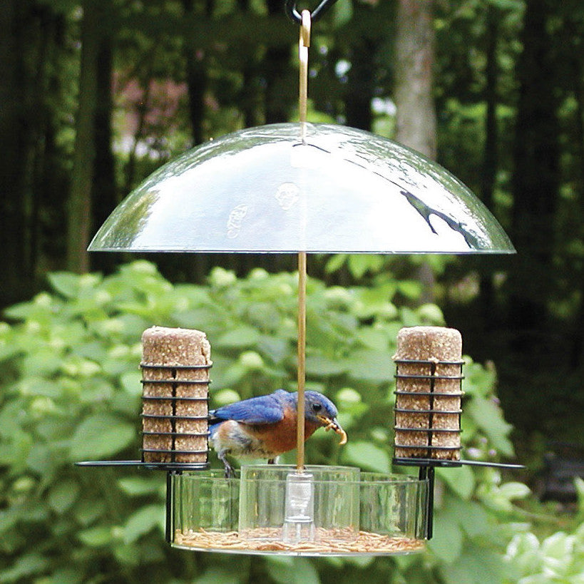 Super Dome Bird Feeder