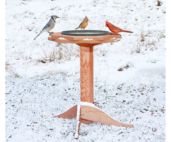 Heated Bird Bath for Winter Oasis